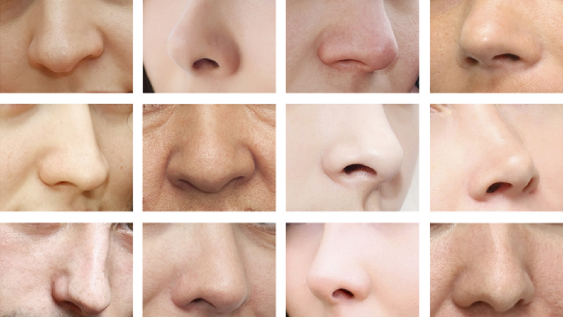 Nose Shape